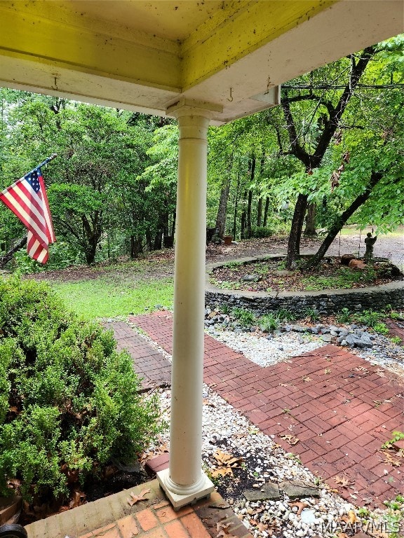 view of yard with a patio area