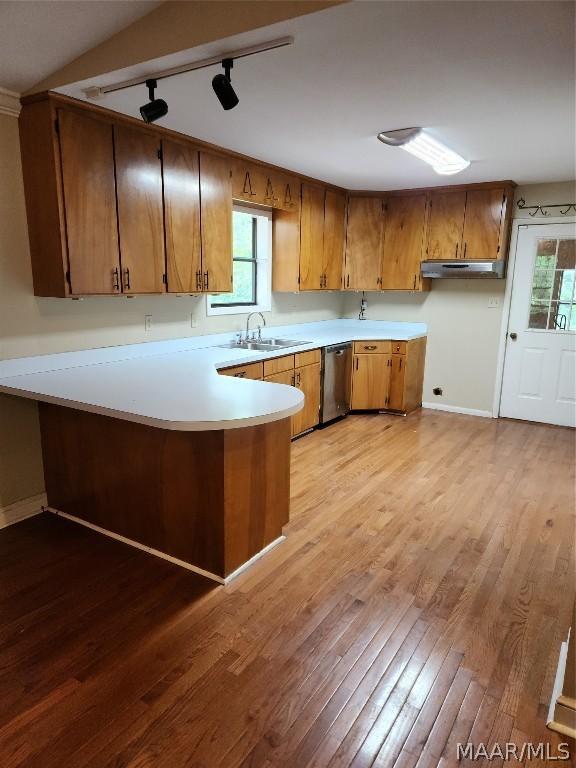 kitchen with a healthy amount of sunlight, sink, light hardwood / wood-style floors, and stainless steel dishwasher