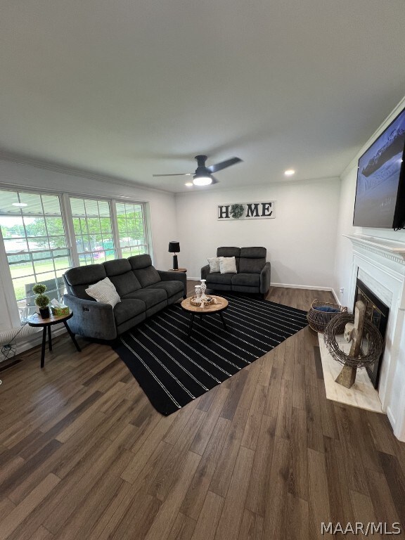 living room featuring ceiling fan and wood-type flooring