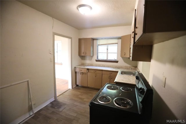 kitchen featuring black range with electric stovetop, dark hardwood / wood-style floors, and sink