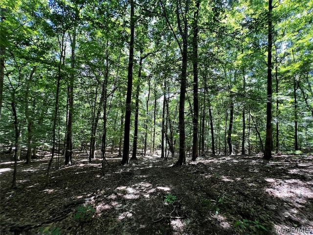 view of local wilderness