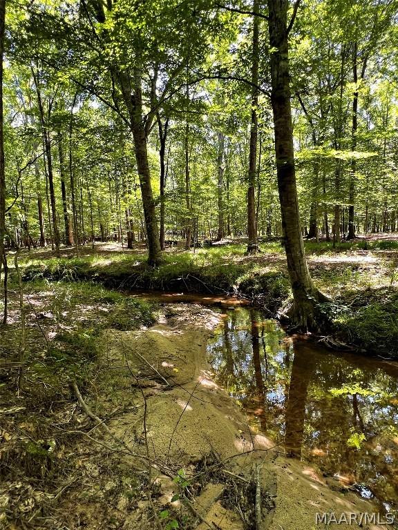 view of local wilderness