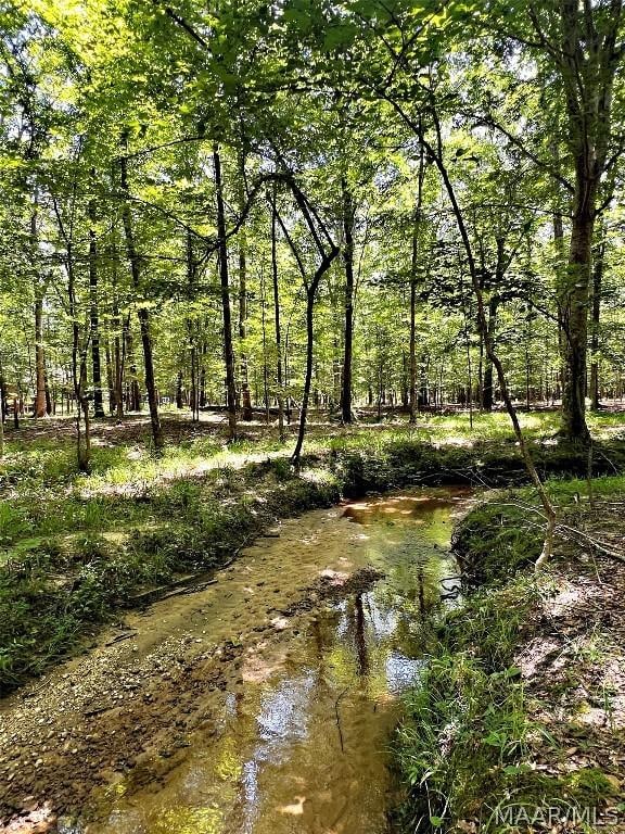 view of local wilderness