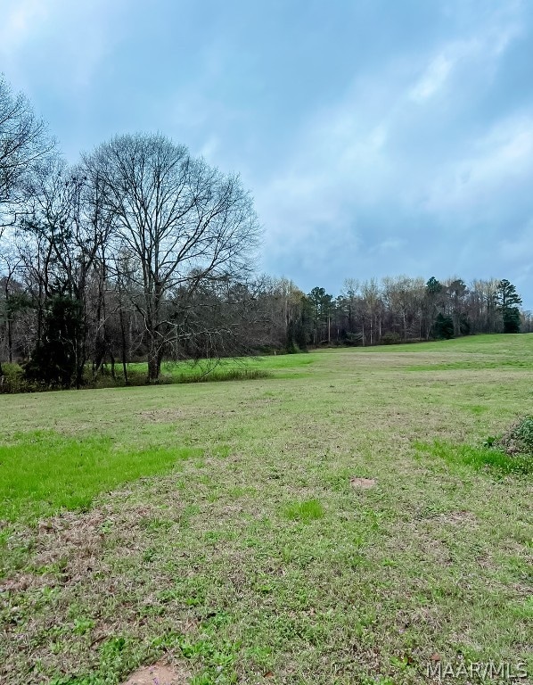 790 Red Fox Hollow Rd, Marbury AL, 36051 land for sale