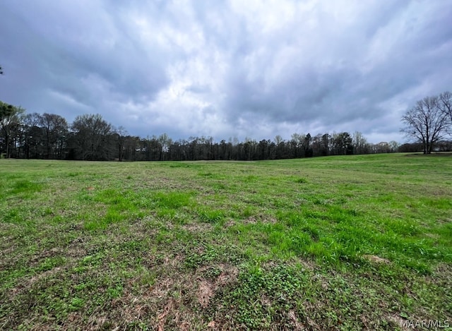 Listing photo 2 for 790 Red Fox Hollow Rd, Marbury AL 36051