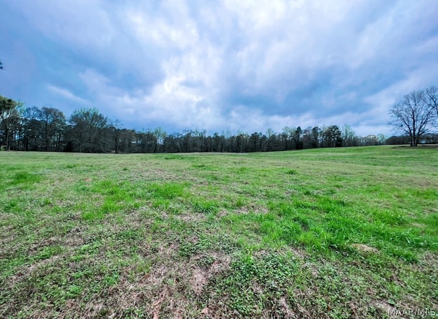 Listing photo 3 for 790 Red Fox Hollow Rd, Marbury AL 36051