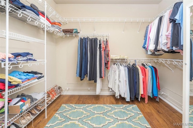 walk in closet featuring hardwood / wood-style floors