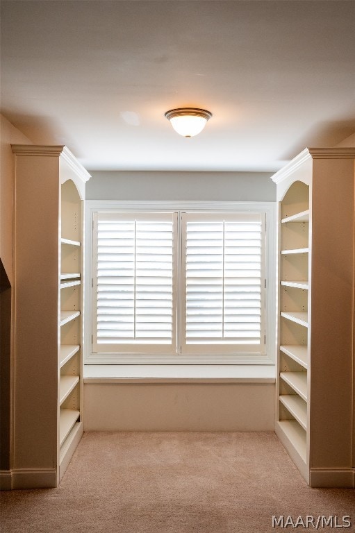 spacious closet featuring light colored carpet