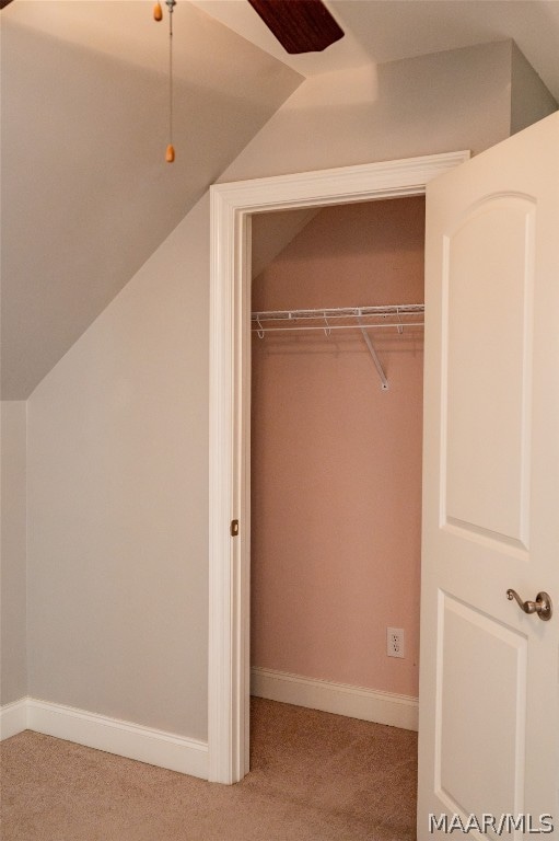 view of closet