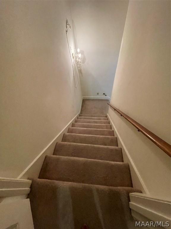 stairs with carpet flooring