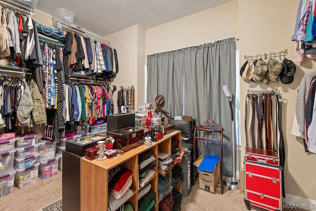 spacious closet featuring carpet