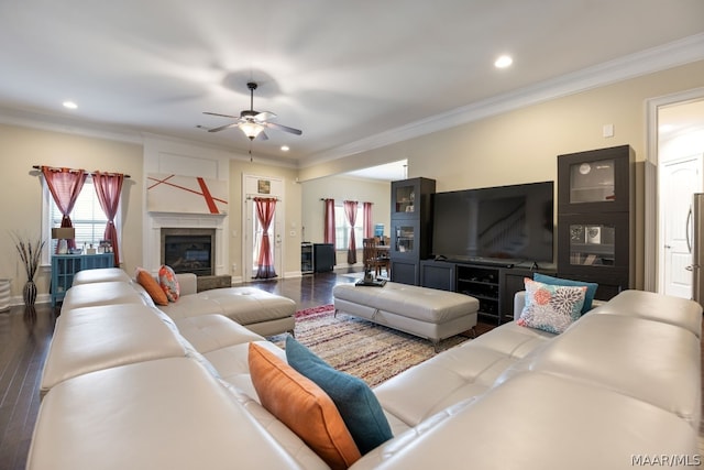 living room featuring dark hardwood / wood-style floors, ceiling fan, and crown molding