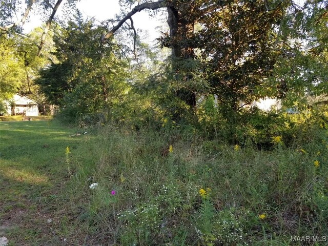 2316 Noble St, Anniston, AL 36201