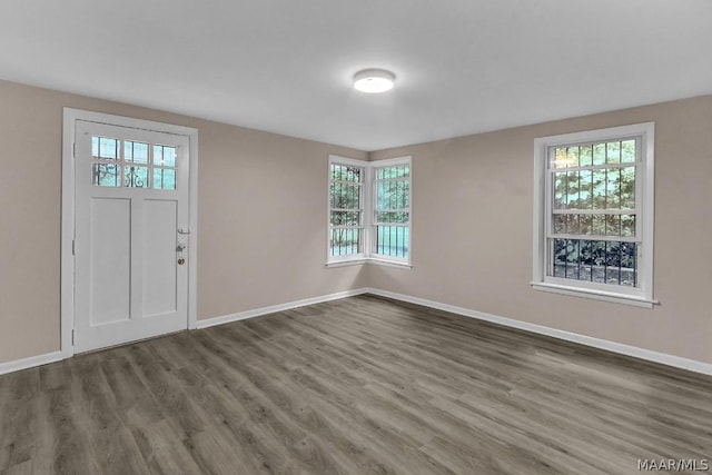 foyer entrance with hardwood / wood-style floors