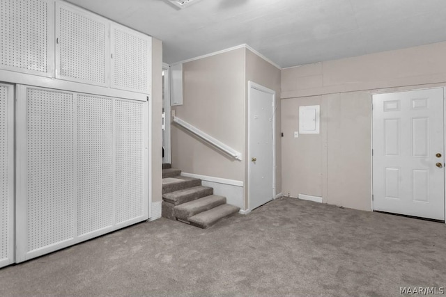 carpeted foyer entrance with crown molding