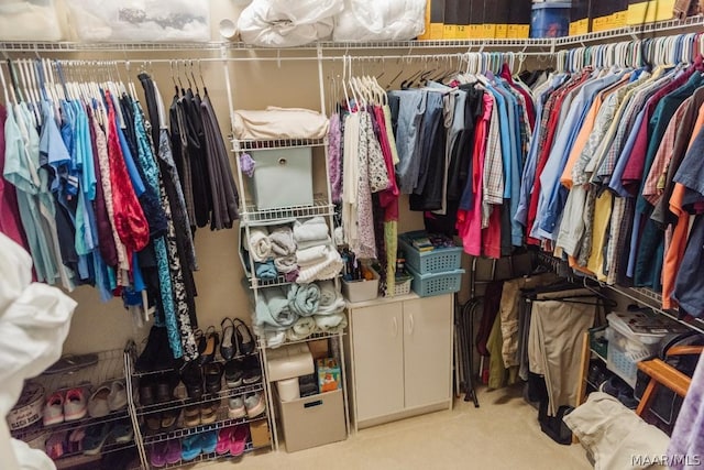 spacious closet with carpet floors