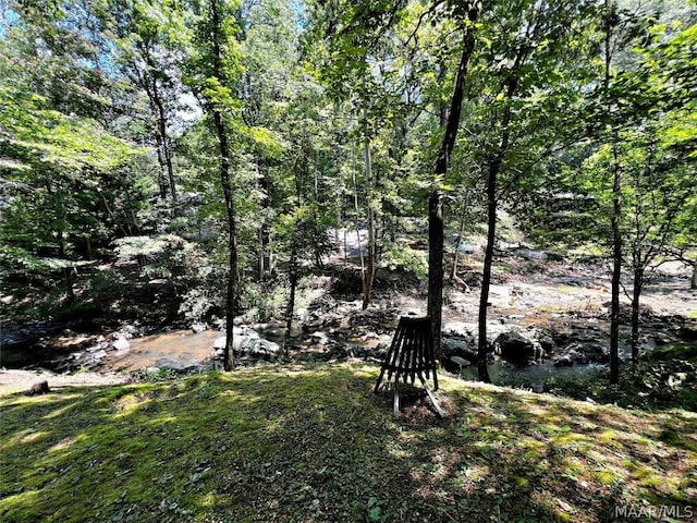 view of yard with a wooded view