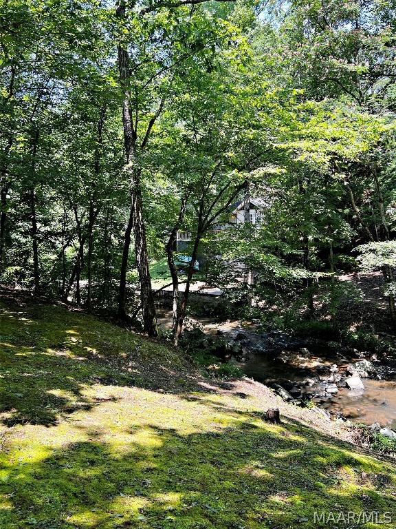 view of local wilderness with a water view