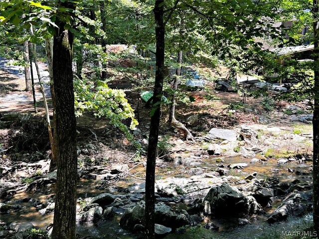 view of local wilderness featuring a water view