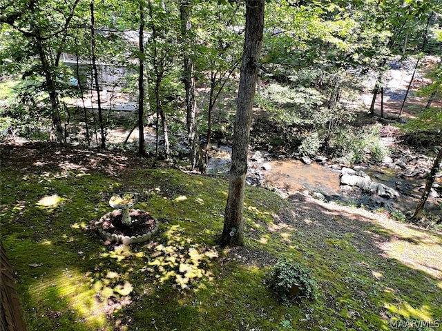 view of yard with a water view