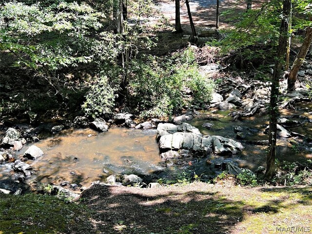 view of mother earth's splendor featuring a water view