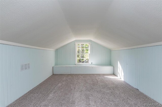 additional living space featuring wooden walls, a textured ceiling, carpet floors, and lofted ceiling