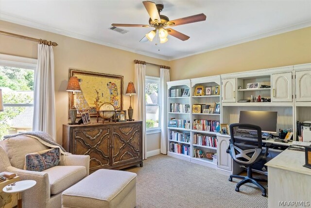 carpeted office with ceiling fan, crown molding, and a wealth of natural light