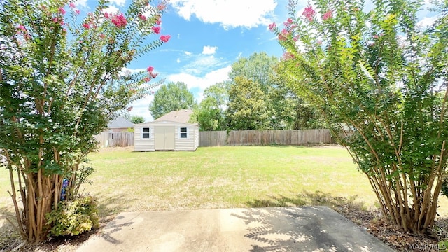 view of yard featuring a storage unit