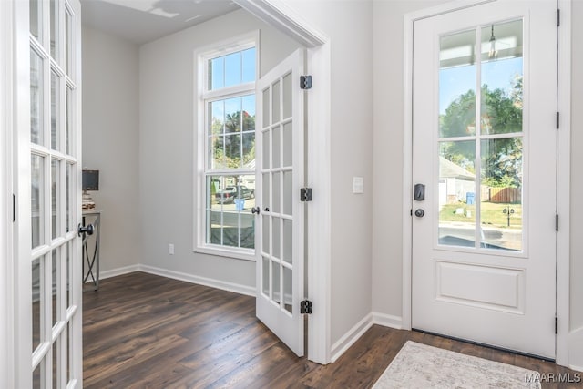 entryway with dark hardwood / wood-style flooring, a wealth of natural light, and french doors