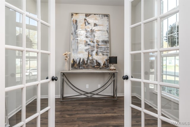 interior space with dark hardwood / wood-style flooring and french doors