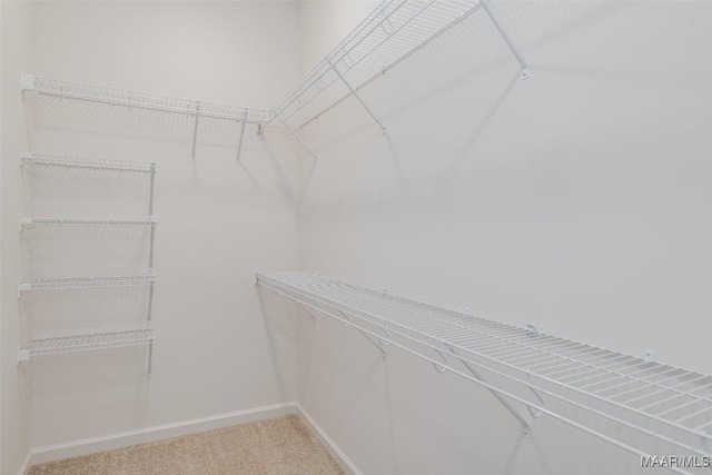 walk in closet featuring light carpet