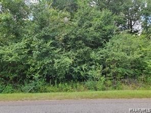 00 County Rd 85, Prattville AL, 36067 land for sale