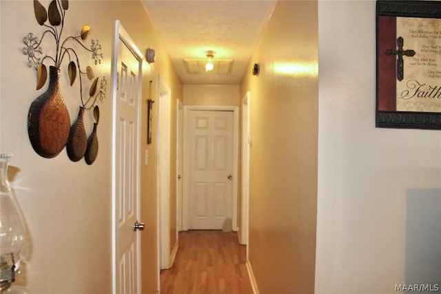 corridor with light hardwood / wood-style flooring