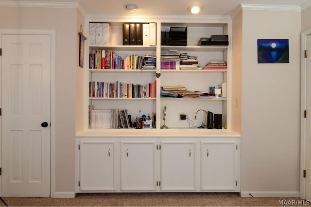 room details featuring baseboards, built in shelves, and ornamental molding