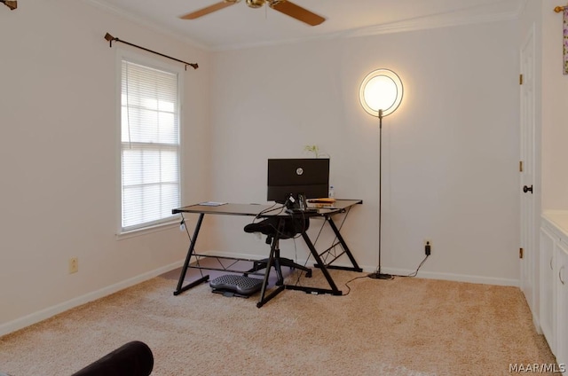 office area featuring baseboards, a ceiling fan, crown molding, and carpet