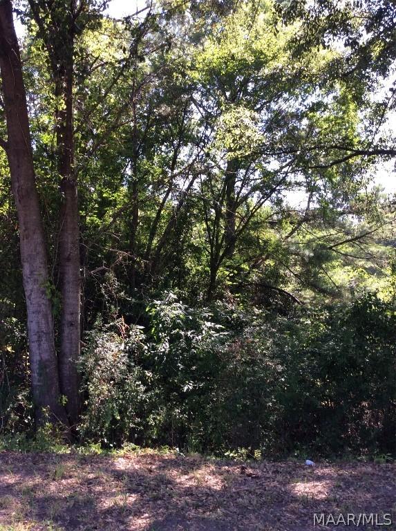 000 Chanault Dr N, Tuskegee, AL 36083