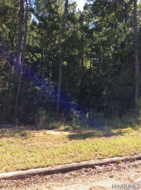 0000 Macon Dr, Tuskegee, AL 36083 - photo 1