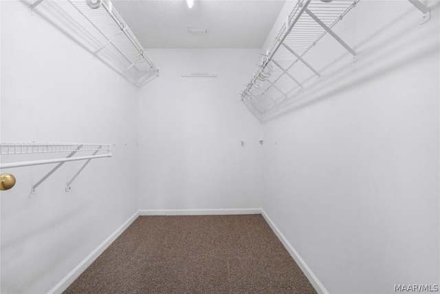 walk in closet featuring carpet floors