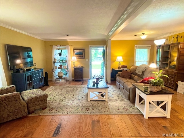 living room with ornamental molding, a textured ceiling, and light hardwood / wood-style floors