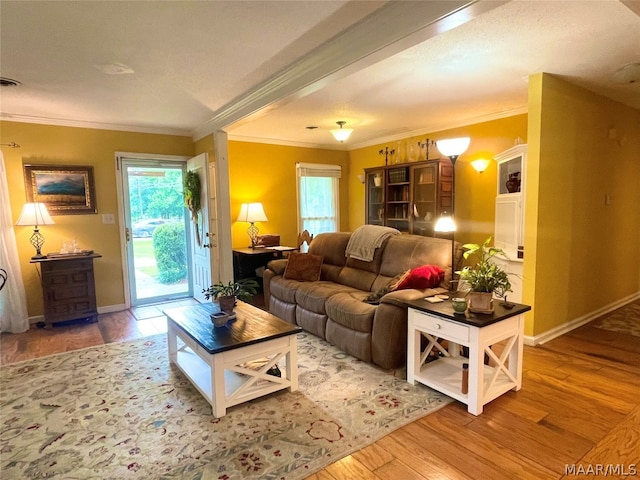 living room with ornamental molding and hardwood / wood-style flooring