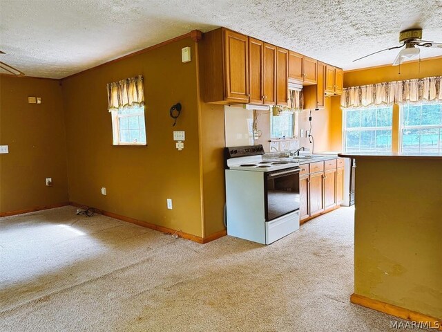 kitchen featuring light carpet, white range with electric stovetop, a healthy amount of sunlight, and ceiling fan