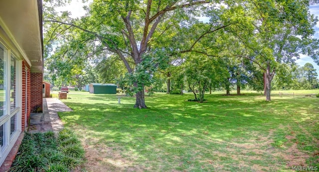 view of yard featuring a shed