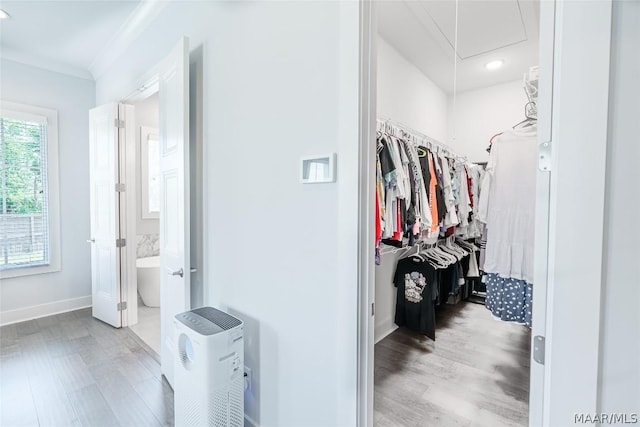 spacious closet featuring light hardwood / wood-style flooring