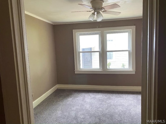 spare room with ceiling fan, ornamental molding, and carpet flooring