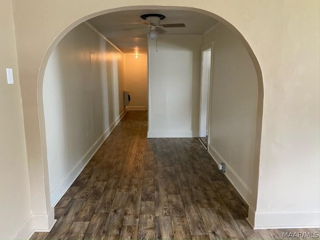 corridor featuring dark hardwood / wood-style floors