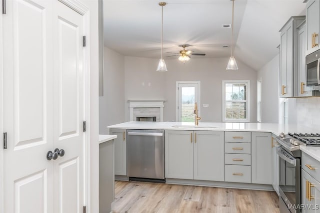 kitchen featuring gray cabinets, stainless steel appliances, a sink, and light countertops