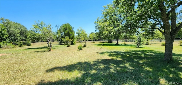 view of home's community with a yard