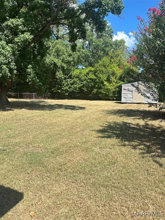 view of yard with a storage shed