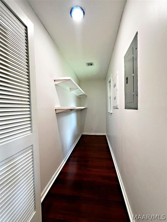 walk in closet with hardwood / wood-style flooring and electric panel