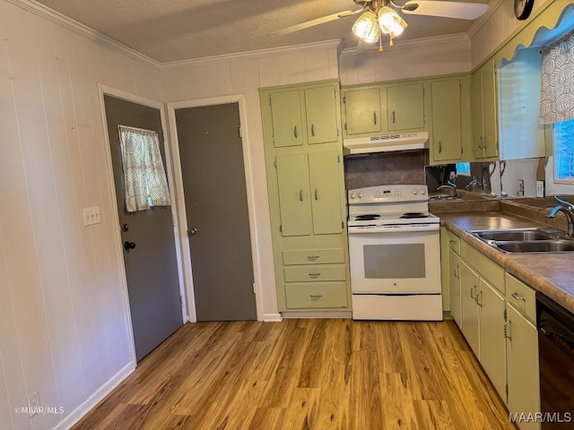 kitchen with dishwasher, sink, electric range, ceiling fan, and ornamental molding